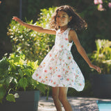Phoenix dress