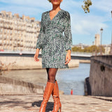 Robe Wiley